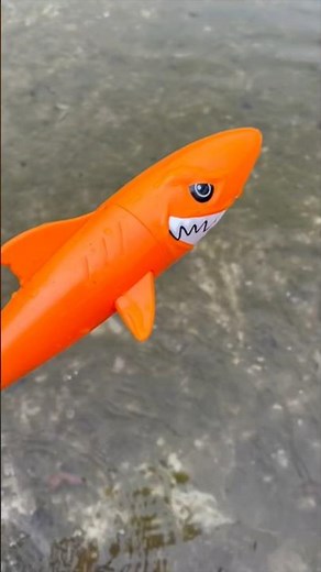 AMAZING SHARK 🦈 Facts for Kids Toddlers!