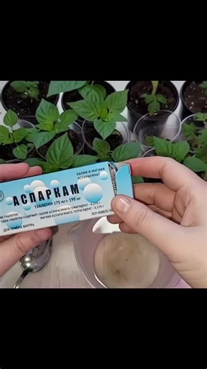 SmartGardenCanal บน TikTok