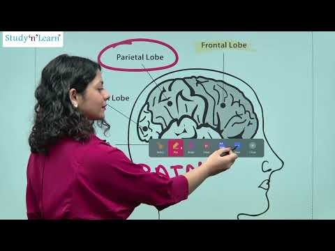 Interactive panel Demo