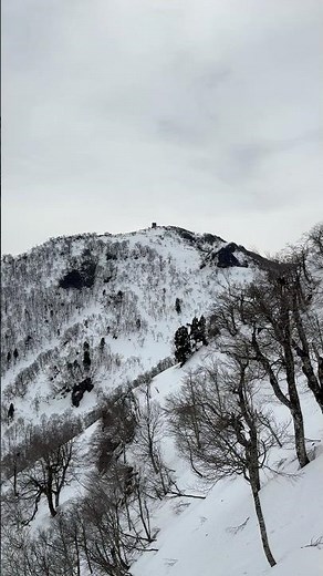 氷ノ山山頂直下