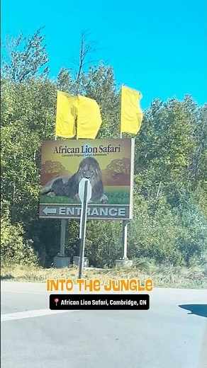 African Lion Safari – Cambridge, Ontario 🦁