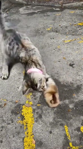 #RandomAIPlay #UploadPhotoTakeTheSameStyle