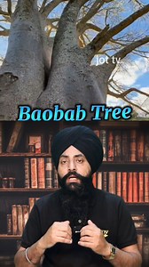 The Water-Storing Wonder: Amazing Facts About the Baobab Tree 🌳💧#BaobabTree #WaterStoringTree | Jot Tv Media
