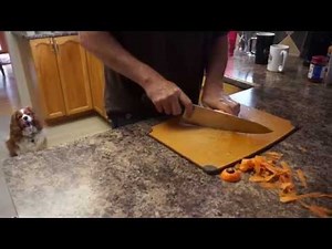 One Year After Proximal Row Carpectomy PRC