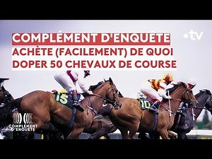 Complément d'enquête - Courses hippiques : la grande triche ?