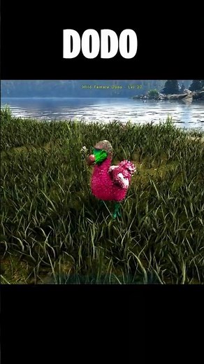 Taming DODO - Ark Survival Evolved #ark #shorts