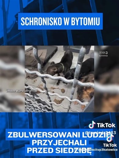 @🇺🇸LUKI USA 2 Official 🇵🇱 @emo☾jonalny🎭 @💊LORD SAJKO💊 @🧯WZG.Karol Piotr Kuberna 💊 @🆉🅰🅿🅰🆁🆉_🅳🆁🅰🅼🅴 ☕️💀 @milicja_tt3 @EdShoty @𝐄𝐜𝐡𝐨𝐙𝐨𝐧𝐞 @•ιηкα• 🎥 @GangKtosia @𝗗𝘇𝗶𝗸𝗮𝘀𝗵𝗼𝘁💥 @😈CiemnaStronaTt😈 #dc #schronisko #bytom #tiktoknews #fyp