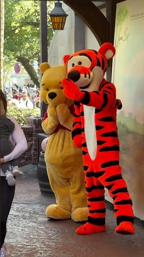 Tigger and Pooh Meet & Greet - Magic Kingdom