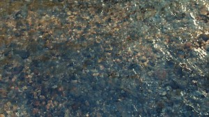 Crystal-clear natural water flowing over a riverbed of pebbles - Free Stock Video