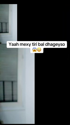 Yaah Mexy Tiri Bal Dhageyso: Comedy and Meaning