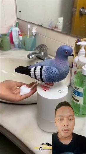 that T4i bird ⁉️