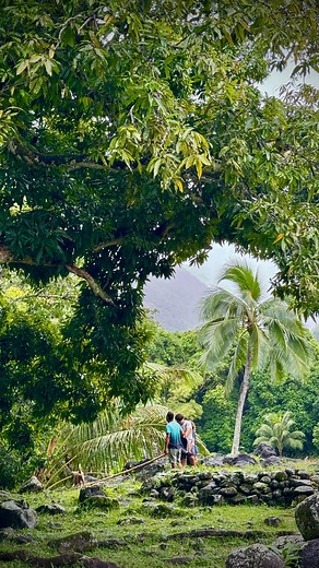 Everytime we visit the Marae in Paea we chat about the ancient temple but what I love more than anything is what’s going on around it and and how much we can learn about local life from the people that hang out there It’s the third time I’ve hung out a bit with the three kids featured in the video - picking avocado’s that are just hanging from the trees and free for anyone with the motivation to collect them The famous Roe (long piece of bamboo with a net at the end tied together with the inside