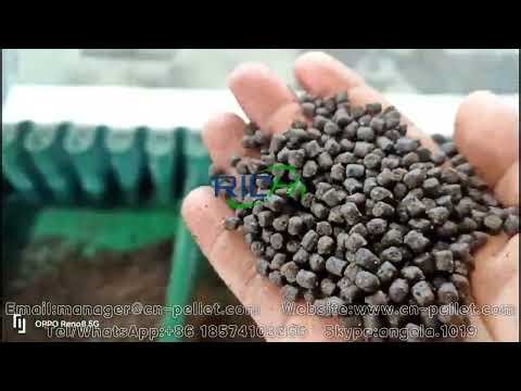 Modern 1.2TPH Fish Feed Factory in Russia | Pellet Production Process