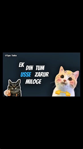 Tum usse zarur miloge😅 #shorts #typotadka #typography #cat