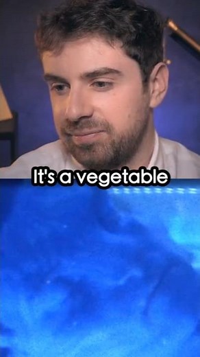 How the Avatars in the Avatar Program Really Work