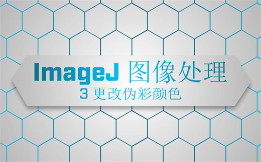 【ImageJ 图像处理】3. 更改伪彩颜色