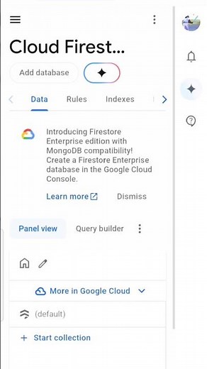. "Set Up Firebase in Flutter Fast! Auth + DB Setup in Under a Minute"