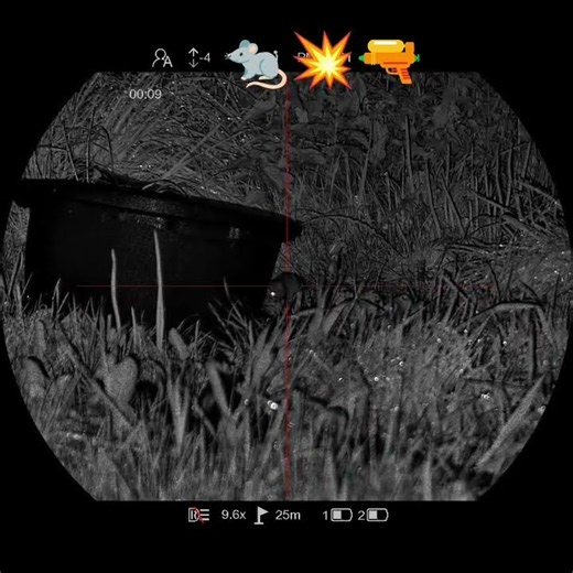 pest control 🐀💥🔫 Pard Night Stalker 4k eX #pestcontrol #pest #rats #pard #nightvision #ttl #Tac​+