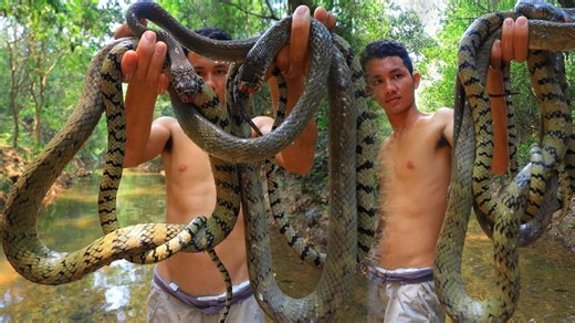 哇！在河里捕到大蛇，煮成美味的蛇汤！