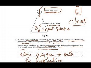 9700 NOV 22 PAPER PAPER 53 QUESTION ONE