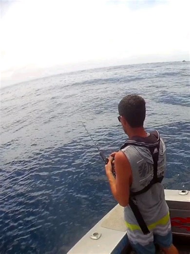 Obsession Fishing on Reels