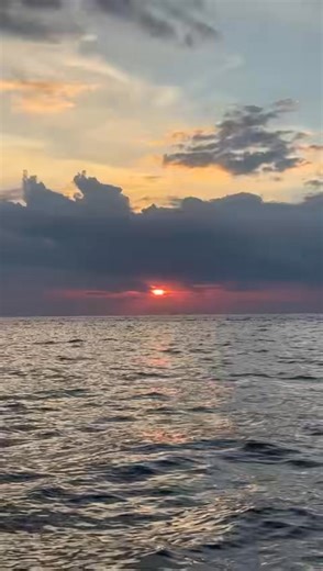 Magui Vazquez Barrios on Reels