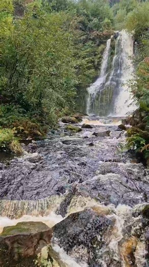 Gunter Grass. Born #OTD in 1927. #therat #guntergrass | For Reading Addicts