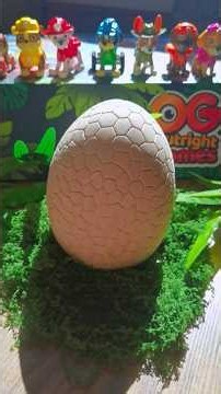 Paw Patrol: Dino World 🐾 What's inside the Dino Egg ? 🦖🦕