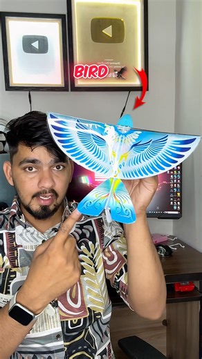 Low Price Flying Bird 🦅 #shorts