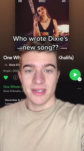 These people wrote Dixie D’Amelio’s new song! #dixiedamelio #onewholeday #dixie