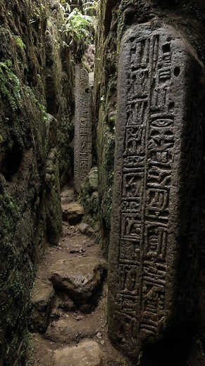 These hieroglyphs shouldn’t exist here They Found Hieroglyphs Deep In The Amazon Jungle #hieroglyphics #ancient #amazon #jungle | Life's Biggest Questions