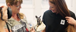 Stories from the bushfire front lines - WWF-Australia | Stories from the bushfire front lines | WWF Australia