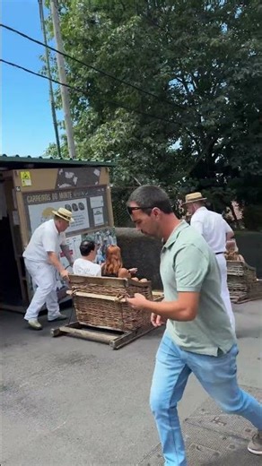 Каталися по асфальту? Мадейра - місце нових можливостей . #music #vlog #love