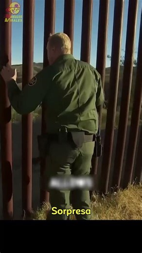 Por qué el muro EEUU México tiene este diseño tan extraño #usa #mexico