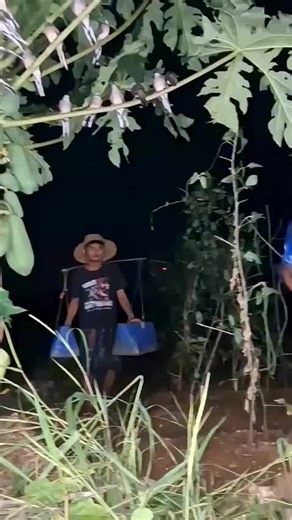 Exploring the Magic of AI with SmartBots