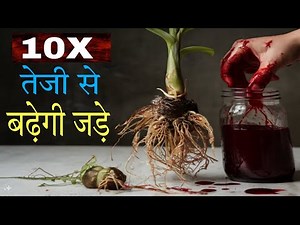 Boost Plant Roots with Powerful Rooting Hormone