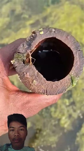 #nature #farming #fishing #fish #india #fishinglife #paper #carpfishing #aquarium #angler