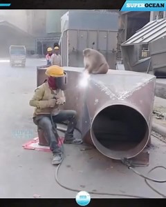 26Just Another Day at Work  Most Unbelievable Workers Moments | A&H Carpentry Service | Facebook