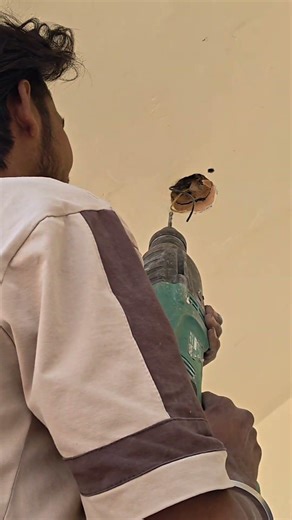 Purana Bulb Remove ❌ | New Surface LED Light Install ✅ #ElectricalWork #YTShorts #like #RCR_Electrix