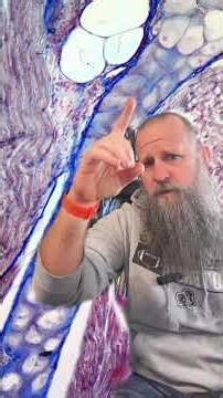 Cardiac tissue under a microscope! #anatomy #histology #physiology #science #stem