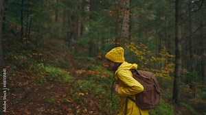 Young woman with backpack trek up marked forest trail offering a scenic view of the trees changing colors. hiker girl having hike in autumn woods.