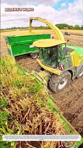 Corn Harvesting: How Modern Machinery Transforms Green Crops Into Valuable Feed