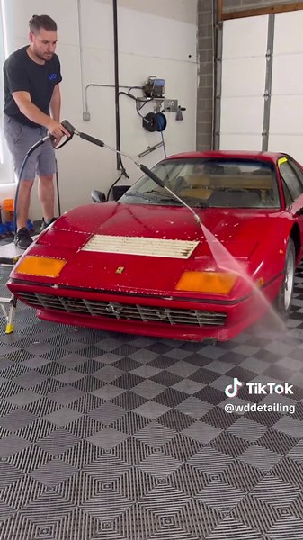 Supercar First Wash in 28 Years! #wddetailing #detailing #cardetailing #carcleaning #satisfying #trending #fyp #barnfind #satisfyingvideos #carwash #trend #asmr #pressurewashing