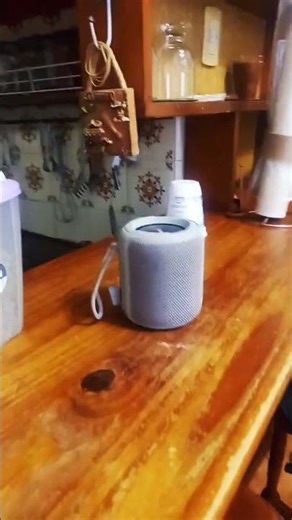 #humor #memes #comedia #parodia #xd