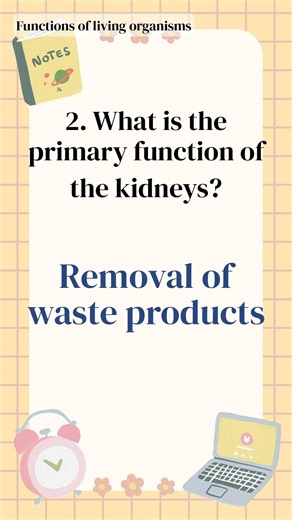 1-Minute Science Quiz! Brain-Melting Answers Revealed - 1-Minute Science Quiz (380)