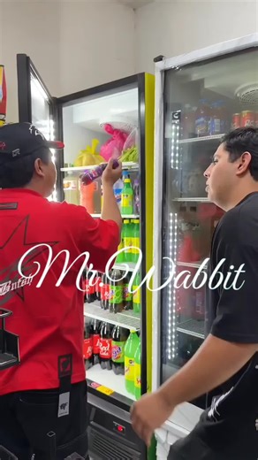 MR.WABBIT (@senor.wabbit)’s videos with original sound - MR.WABBIT