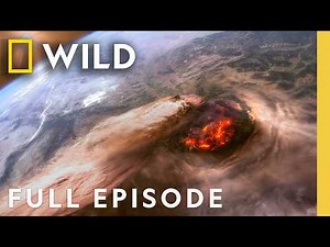 Did You Know There Was A Volcano Under Yellowstone? | X-Ray Earth (Full Episode) | Nat Geo Animals