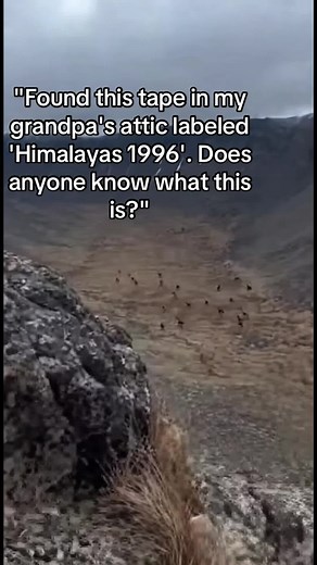 Mysterious Tape from the Himalayas 1996 Uncovered