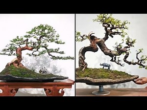 Collection of the world's most beautiful bonsai masterpieces of high artistic value in 2022