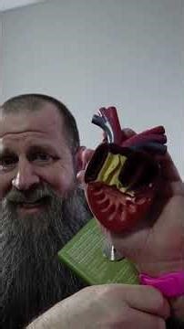 How does a frog heart work? #anatomy #science #biology #stem #physiology